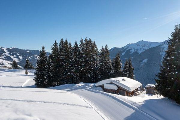 Bachgut-Alm-Winter24-19.jpg